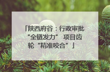 陕西府谷：行政审批“全链发力” 项目齿轮“精准咬合”