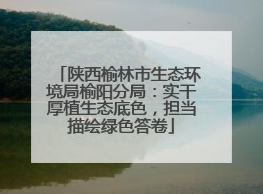 陕西榆林市生态环境局榆阳分局：实干厚植生态底色，担当描绘绿色答卷