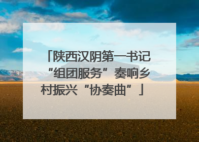 陕西汉阴第一书记“组团服务”奏响乡村振兴“协奏曲”