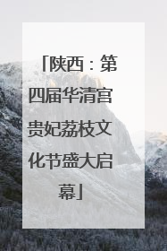 陕西：第四届华清宫贵妃荔枝文化节盛大启幕