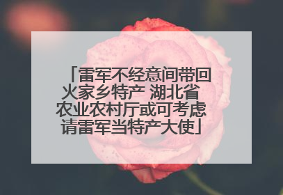 雷军不经意间带回火家乡特产 湖北省农业农村厅或可考虑请雷军当特产大使
