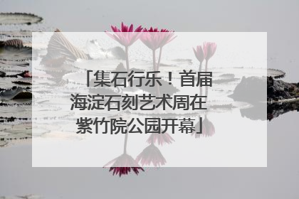 集石行乐！首届海淀石刻艺术周在紫竹院公园开幕