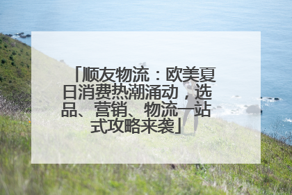 顺友物流：欧美夏日消费热潮涌动，选品、营销、物流一站式攻略来袭