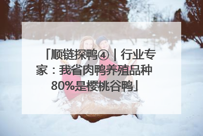 顺链探鸭④｜行业专家：我省肉鸭养殖品种80%是樱桃谷鸭