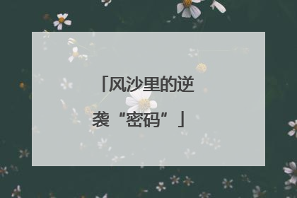 风沙里的逆袭“密码”