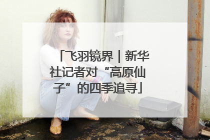 飞羽镜界｜新华社记者对“高原仙子”的四季追寻