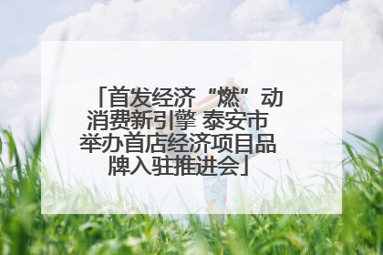 首发经济“燃”动消费新引擎 泰安市举办首店经济项目品牌入驻推进会