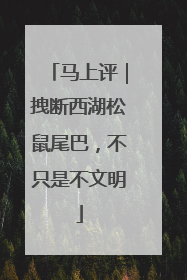马上评｜拽断西湖松鼠尾巴，不只是不文明