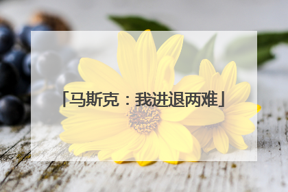 马斯克：我进退两难