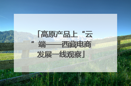 高原产品上“云”端——西藏电商发展一线观察