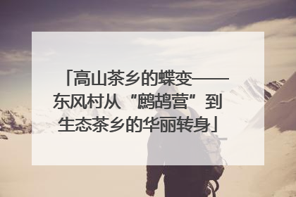 高山茶乡的蝶变——东风村从“鹧鸪营”到生态茶乡的华丽转身