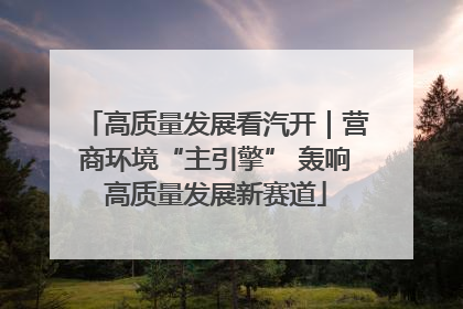 高质量发展看汽开｜营商环境“主引擎” 轰响高质量发展新赛道