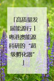 高质量发展能源行丨粤港澳能源科研的“超级孵化器”