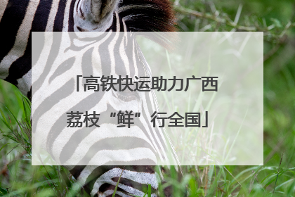 高铁快运助力广西荔枝“鲜”行全国