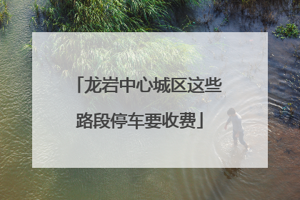 龙岩中心城区这些路段停车要收费