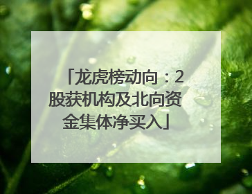 龙虎榜动向：2股获机构及北向资金集体净买入