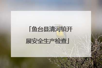 鱼台县清河镇开展安全生产检查