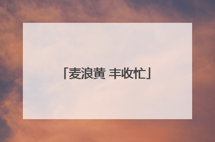 麦浪黄 丰收忙