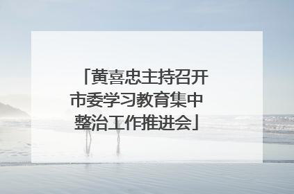 黄喜忠主持召开市委学习教育集中整治工作推进会