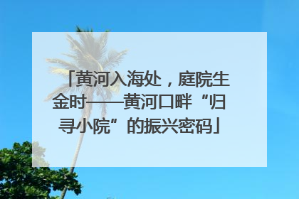 黄河入海处，庭院生金时——黄河口畔“归寻小院”的振兴密码