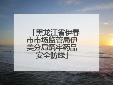 黑龙江省伊春市市场监管局伊美分局筑牢药品安全防线