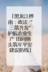 黑龙江桦南：政法“三箭齐发”护航农业生产 田间地头筑牢平安建设防线