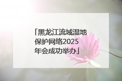 黑龙江流域湿地保护网络2025年会成功举办