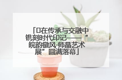 ﻿在传承与交融中镌刻时代印记——“皖韵徽风·师晶艺术展”圆满落幕