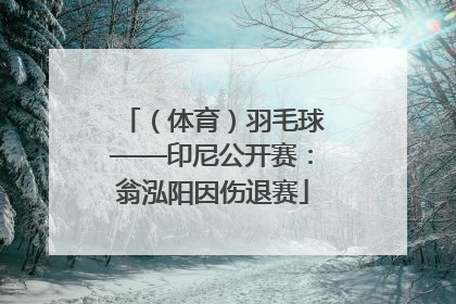 （体育）羽毛球——印尼公开赛：翁泓阳因伤退赛