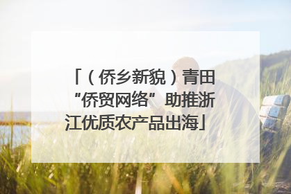 （侨乡新貌）青田“侨贸网络”助推浙江优质农产品出海