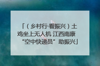 （乡村行·看振兴）土鸡坐上无人机 江西南康“空中快递员”助振兴