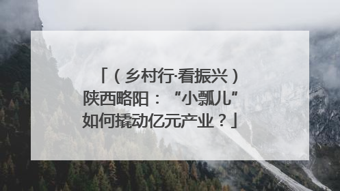 （乡村行·看振兴）陕西略阳：“小瓢儿”如何撬动亿元产业？
