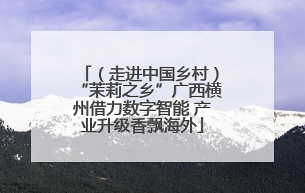 （走进中国乡村）“茉莉之乡”广西横州借力数字智能 产业升级香飘海外