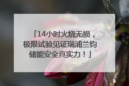 14小时火烧无损，极限试验见证瑞浦兰钧储能安全真实力！