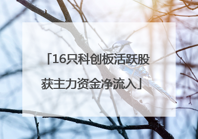 16只科创板活跃股获主力资金净流入