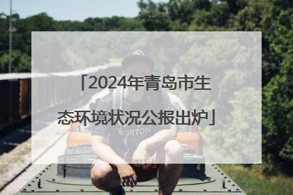 2024年青岛市生态环境状况公报出炉