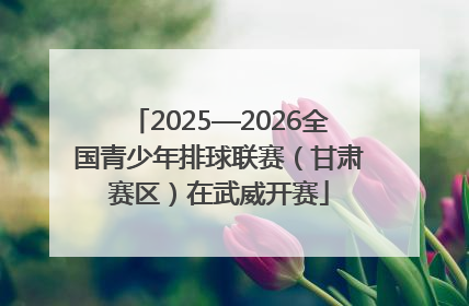 2025—2026全国青少年排球联赛（甘肃赛区）在武威开赛