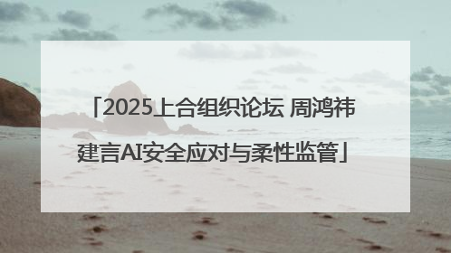 2025上合组织论坛 周鸿祎建言AI安全应对与柔性监管