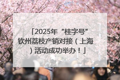 2025年“桂字号”钦州荔枝产销对接（上海）活动成功举办！