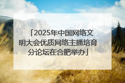 2025年中国网络文明大会优质网络主播培育分论坛在合肥举办