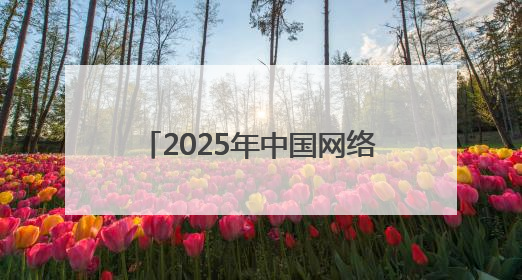 2025年中国网络文明大会落幕 湖北多项成果入选典型案例