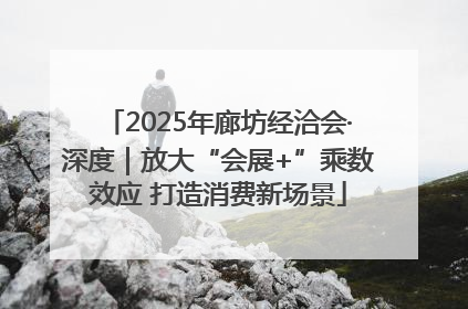2025年廊坊经洽会·深度｜放大“会展+”乘数效应 打造消费新场景