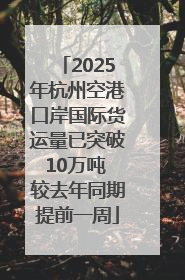 2025年杭州空港口岸国际货运量已突破10万吨 较去年同期提前一周