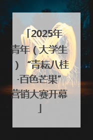 2025年青年（大学生）“青耘八桂·百色芒果”营销大赛开幕