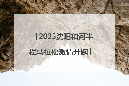 2025沈阳和河半程马拉松激情开跑