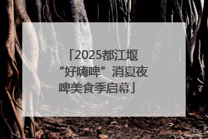 2025都江堰“好嗨啤”消夏夜啤美食季启幕