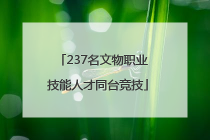237名文物职业技能人才同台竞技