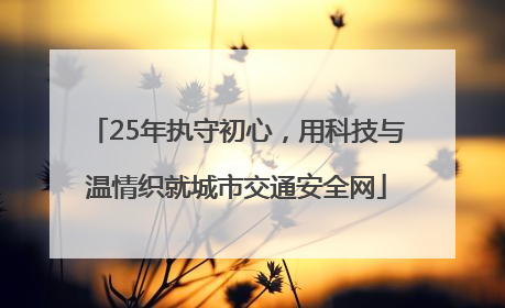 25年执守初心，用科技与温情织就城市交通安全网