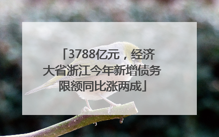 3788亿元，经济大省浙江今年新增债务限额同比涨两成