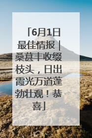 6月1日最佳情报｜桑葚丰收缀枝头，日出霞光万道蓬勃壮观！恭喜